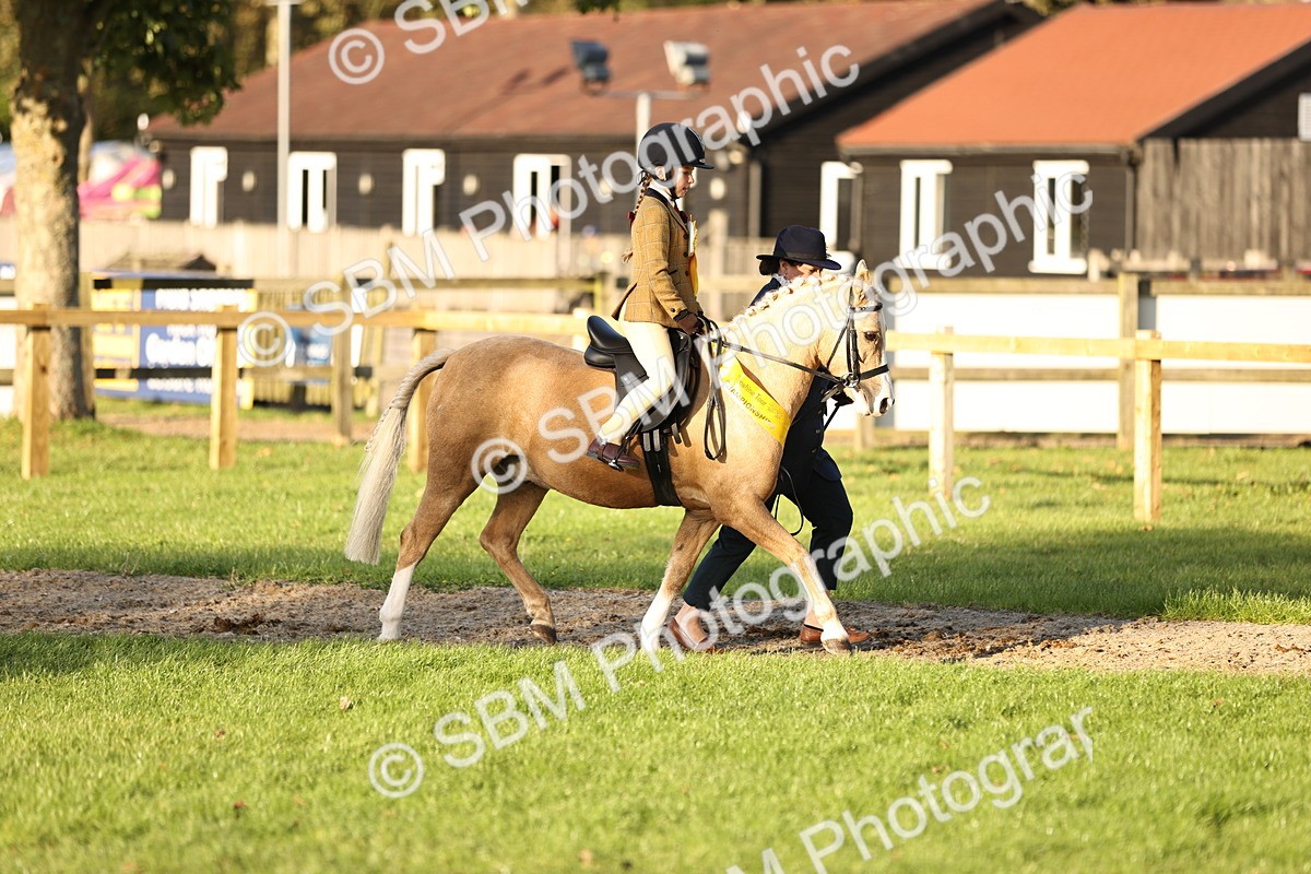 SBM_30122 - Novice & Newcomers Supreme Championship