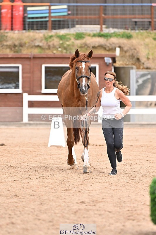 250716-153248-01996 - Trot Up 3.30 to 4.30