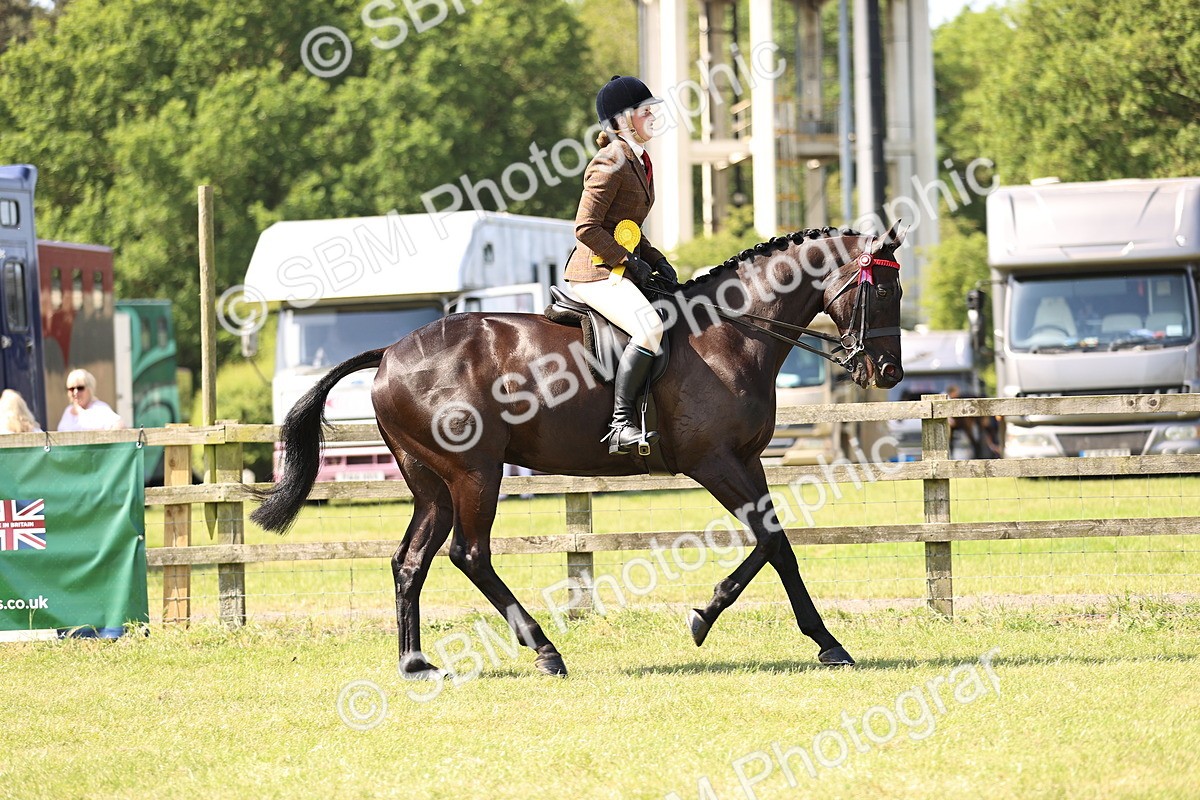 SBM_13055 - Class 75-76 LIHS BSHA Rising Star Hack Riding Horse