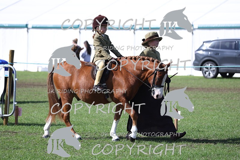 APP_3803 - Class 13 Lead rein