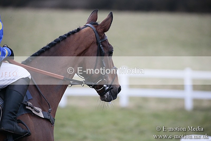 PtP 180218 329 - Combined Services Point-to-Point Larkhill 18/02/18