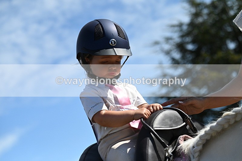 WJ7_1257 - Class 41 Prettiest Mare