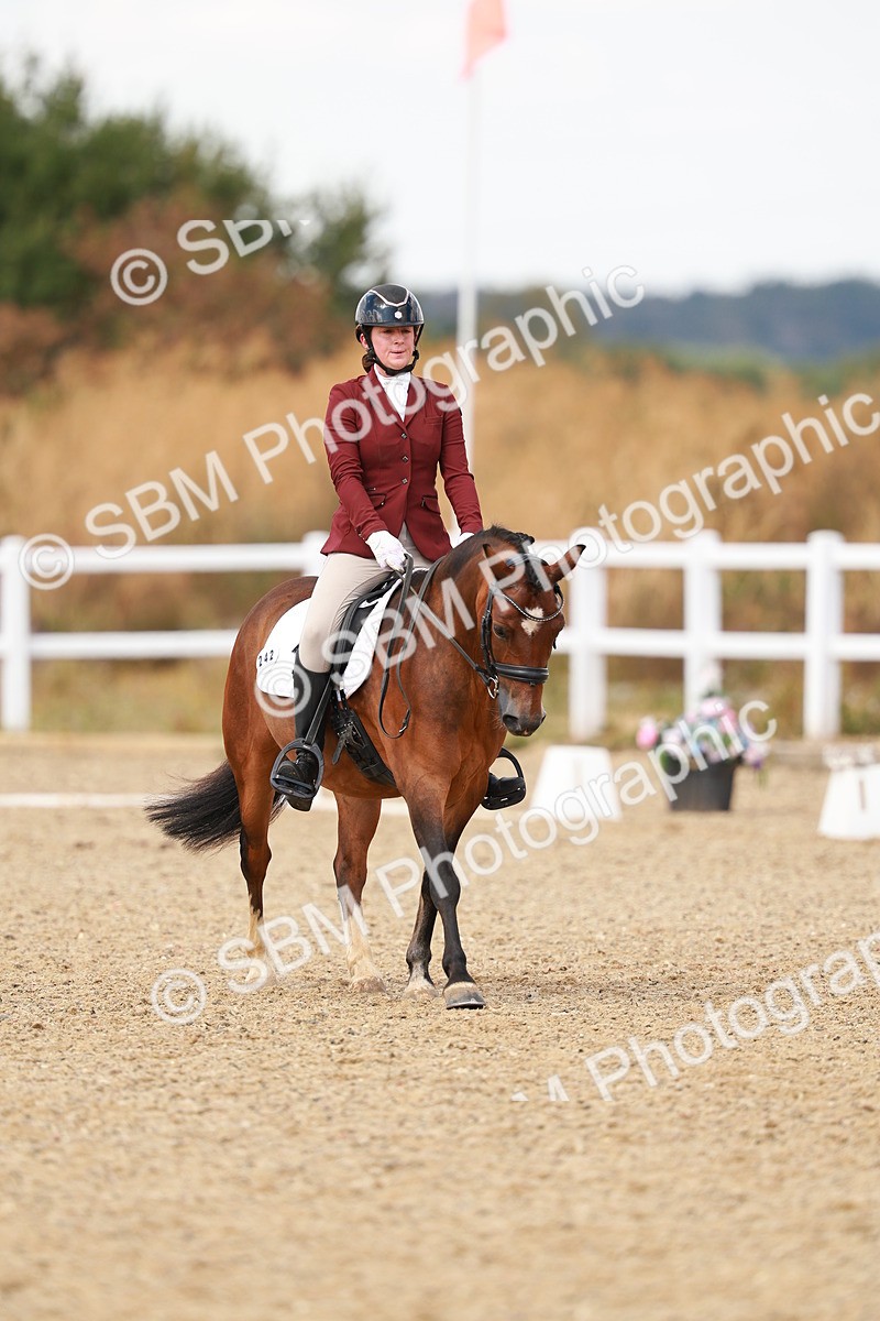 SBM_018654 - Class 9 - N5 Bronze 11.57.13.07