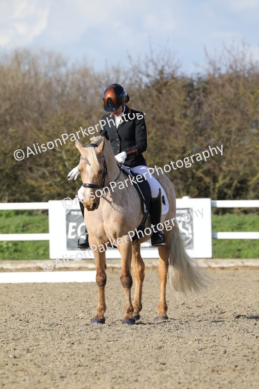 20260314-5794 - DR 7 - Elementary 1