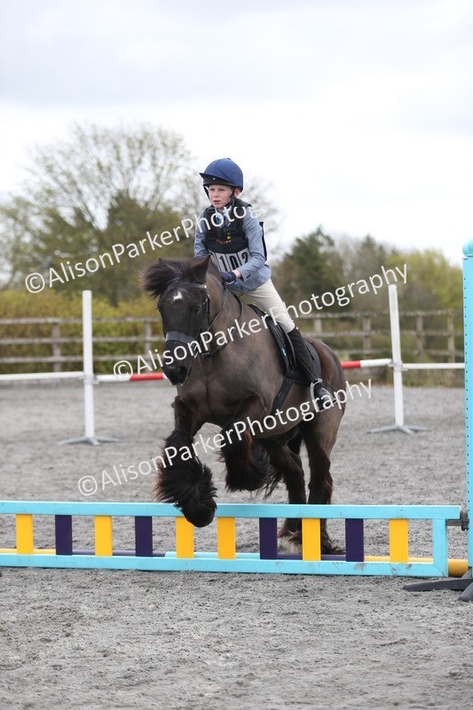 20260412-0596 - Show Jumping