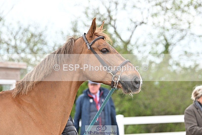 250423-145557-01373 - 2pm to 3pm