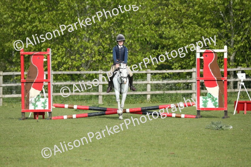 20260426-0097 - Class 13 - Rookie Jumping 50cm