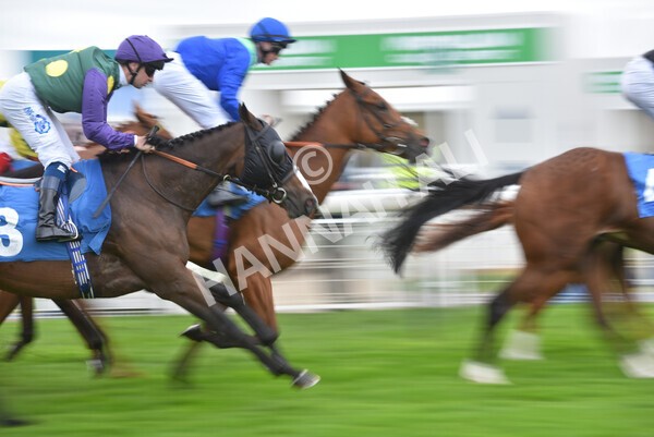 yr24092021r6-15 - Race 6 4.25pm William Hill Pick Your Places Stakes