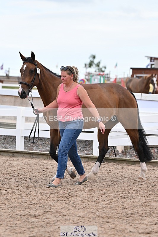 250716-141423-00985 - Trot Up 1.30 to 2.30