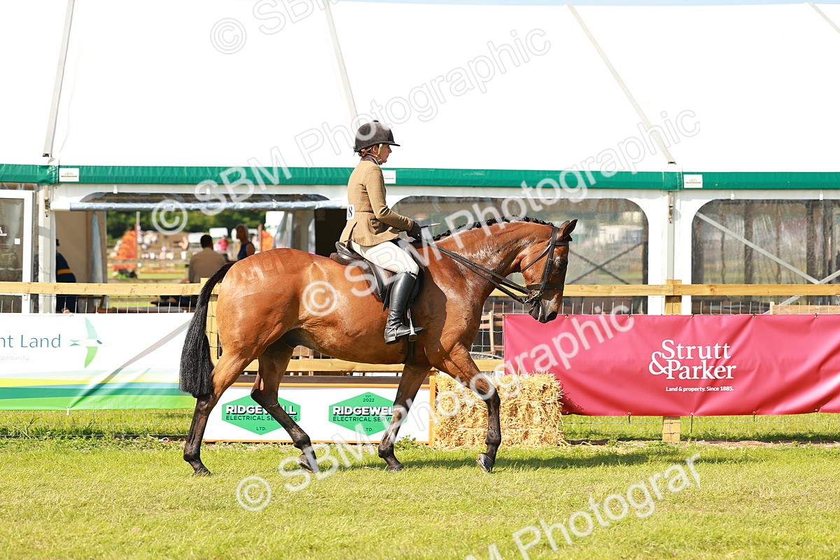 SBM_12017 - Class 66-69 - RIHS Ridden Hunters Inc Small Hunter