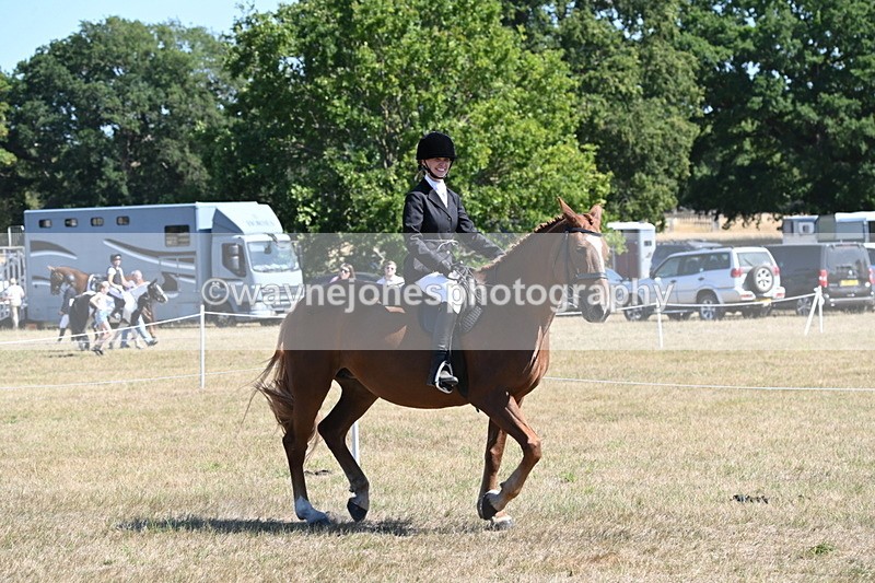 WJ6_8333 - Class 37a Best Loan Pony Ridden
