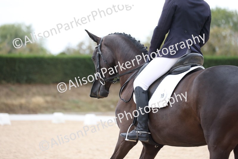 20250820-0692 - Class 15 - Novice 4