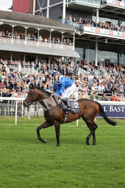 yr17082022r4-105 - Race 4 3.35pm Juddmonte International Stakes (British Champions Series Race)