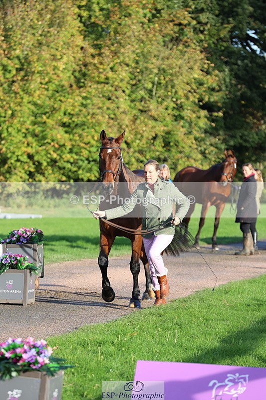 251026A-095026-22519 - D-312-Laura.Sharpe