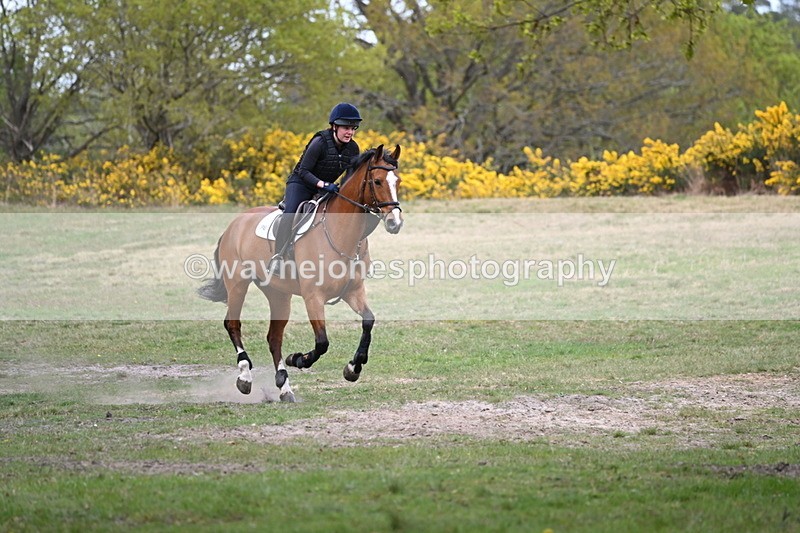 WJ6_0961 - Time 14:53 to 15:16