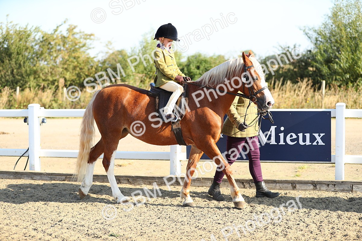SBM_00363 - Class 41 Best Turned Out Ridden