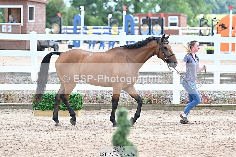240717A-143841-02162 - Trot Up 2pm to 3pm - This folder is not in time order