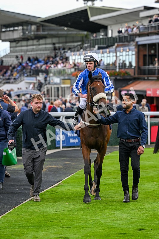 170925-Race 2-Lady Youmzain-4135 - Race 2