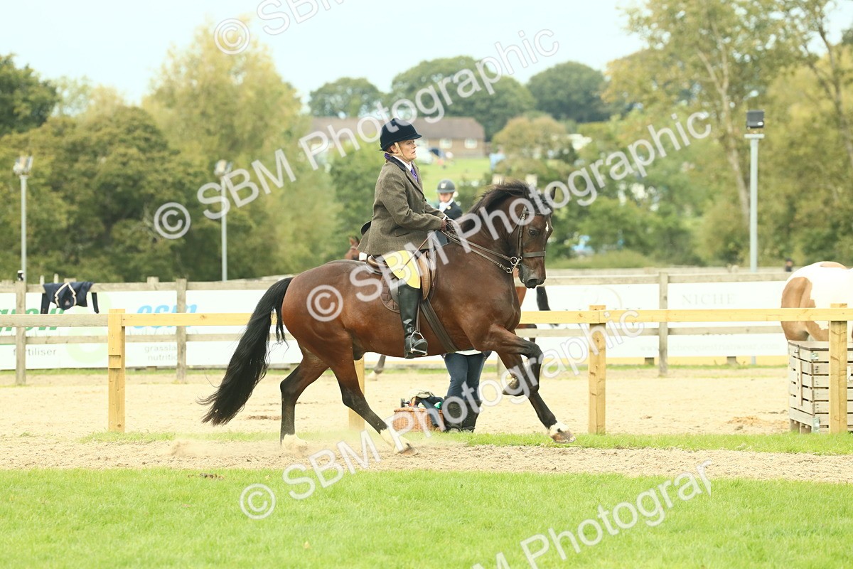 SBM_71992 - S60 - Mountain & Moorland Ridden Large Breeds
