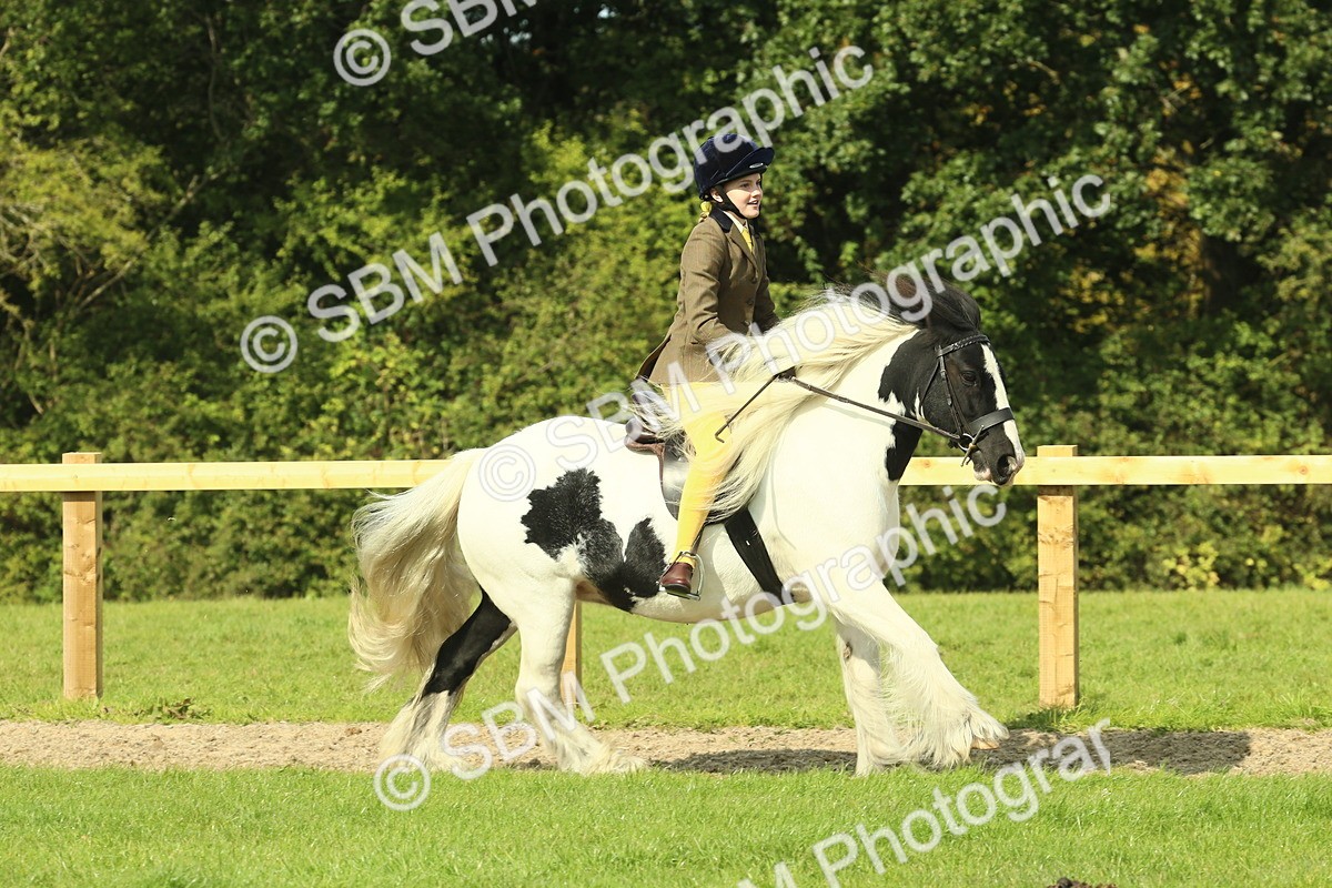SBM_67477 - S56 - Coloured Pony Ridden