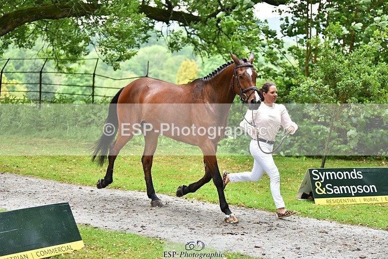 240522-163044-00968 - 203-OAKPORT_WEST_COAST_EXPRESS-Emma_Wilkes