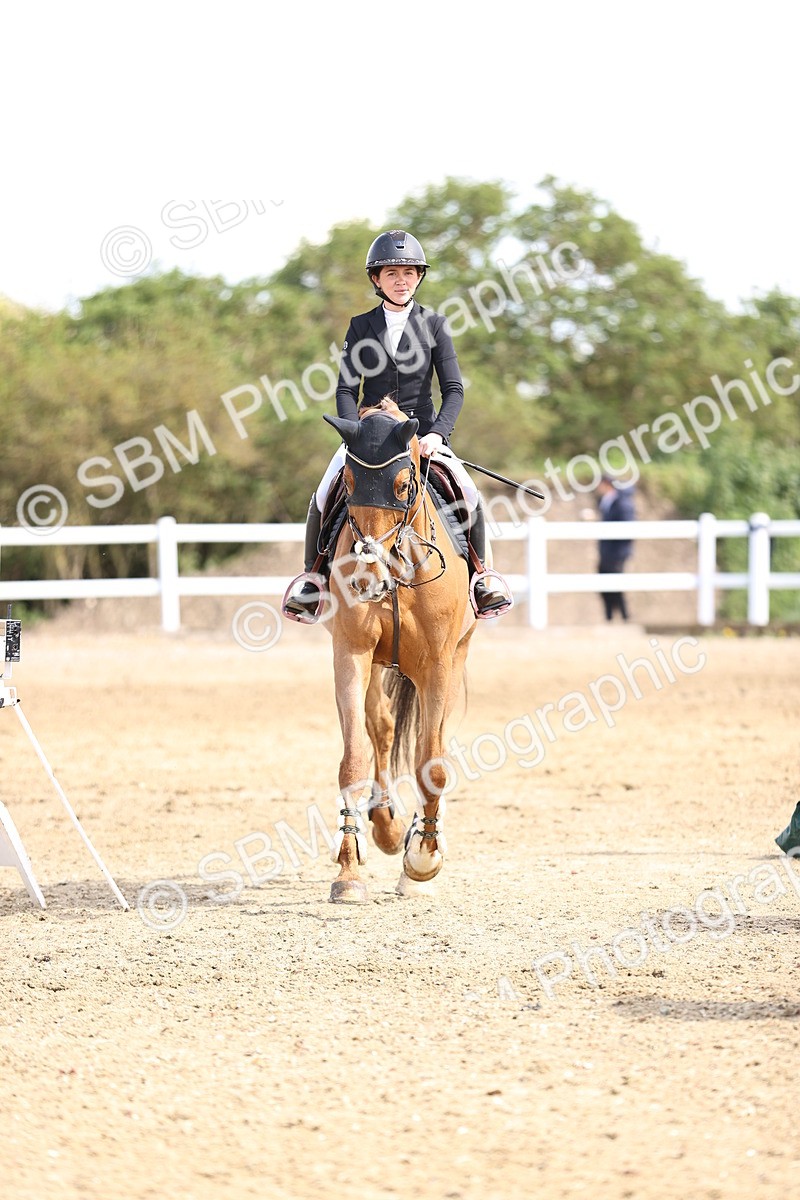 SBM_004290 - Class 17 - Senior Newcomers - 1.10m