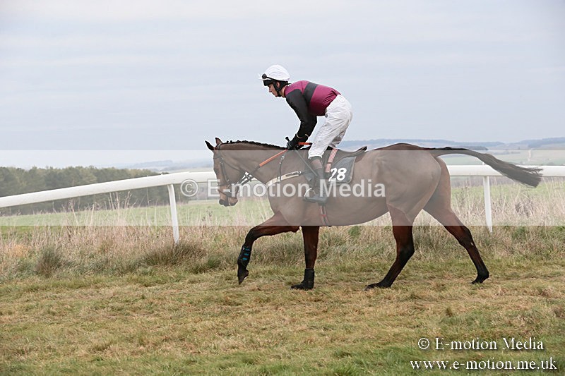 PtP 060119 342 - Larkhill Racing Club - Point-to-Point- 06/01/2019