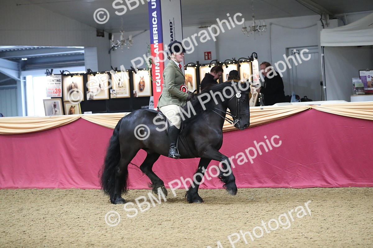 SBM_10471 - Class 102 Equitation (best rider) Adult