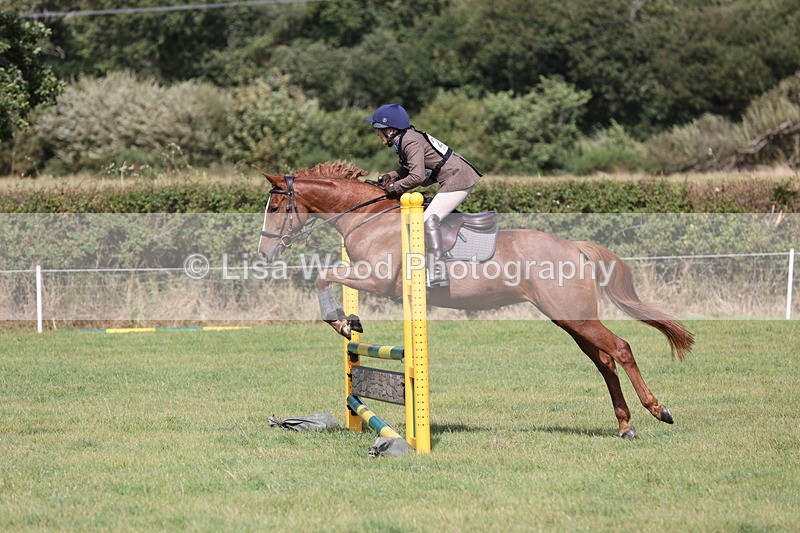 JPP_8801 - Class 2: Trekenning: 80cm Showjumping