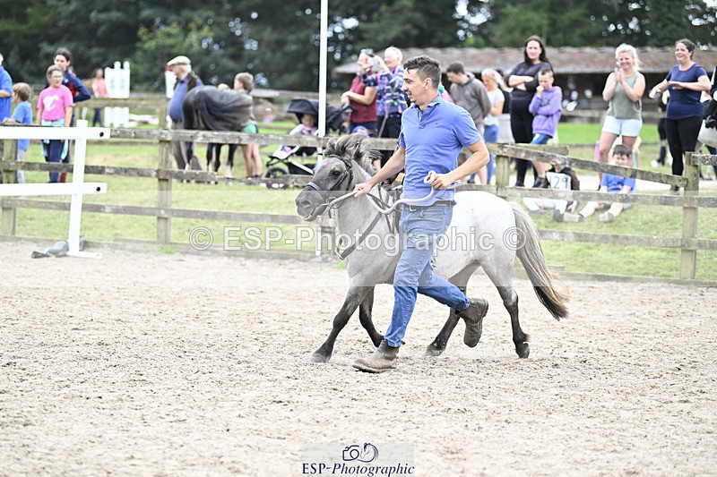 240822X-131657-08023 - 40cm LR R2 13.00 to 15.00