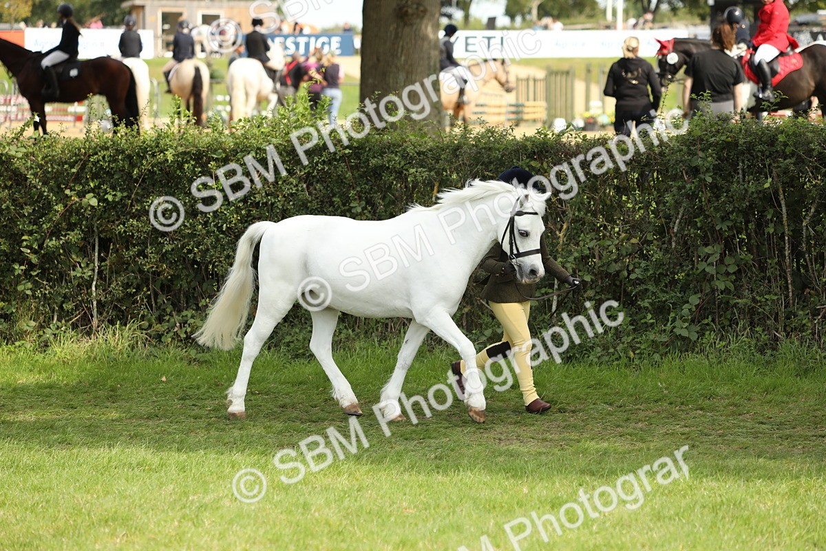 SBM_67723 - S39 - Junior Handler 8  Years & Under