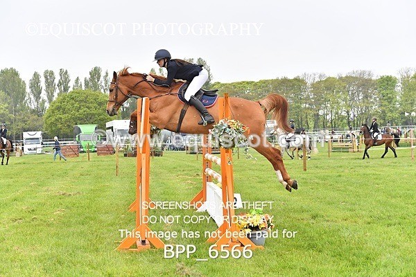 BPP_6566 - CLASS 1 Senior Newcomers/ 1.10m Open