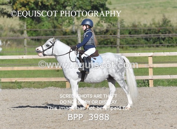 BPP_3988 - CLASS 2 40CM FINAL