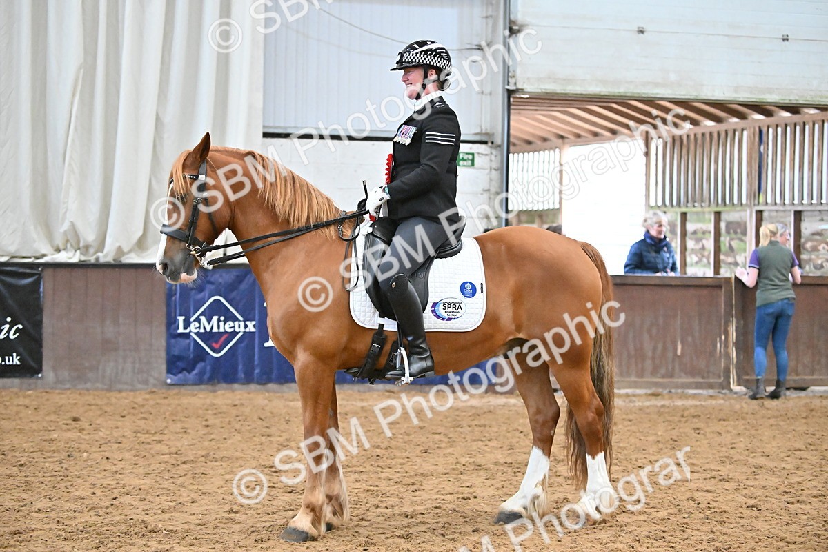 SBM_001477 - Class 19,20 - Ridden Native, Foreign Breeds & Warmbloods