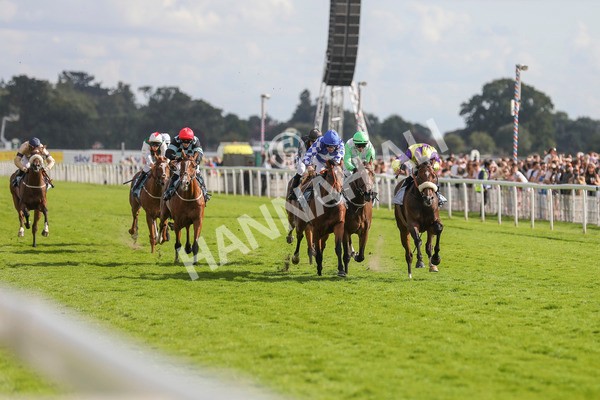 290723-Race 6-Dark Moon Rising-4025 - Race 6 5.10pm Betting Better With Sky Bet Handicap