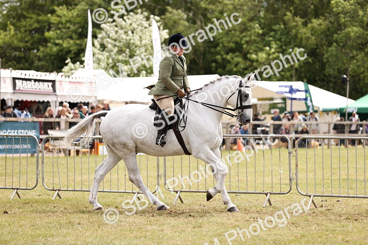 SBM_14666 - Class 88-89 - LIHS BSHA Rising Star of Ridden Hunter Type