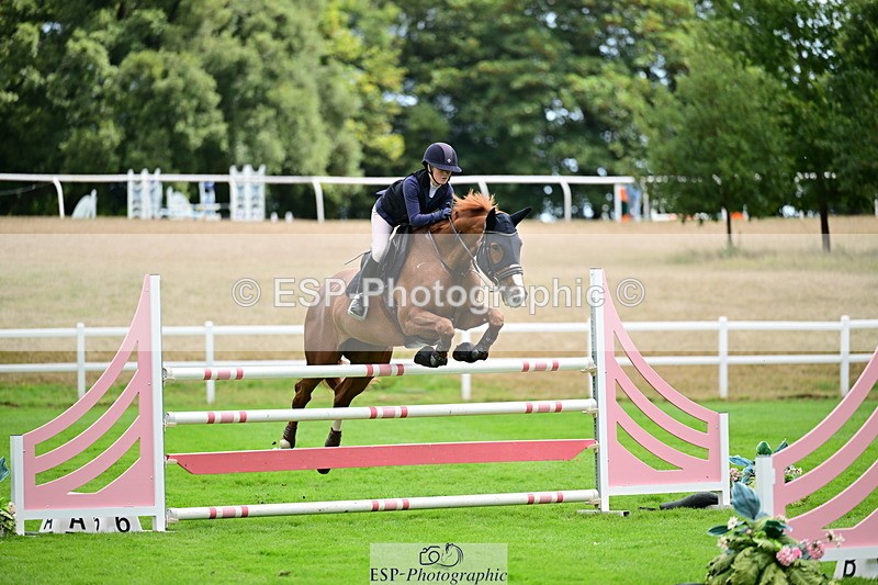 2026-08-21A-DSC_4037 - Cls 2 Snr Foxhunter
