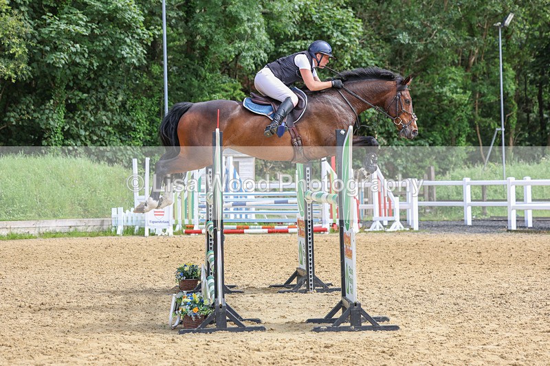 3E7A7631 - Class 9: Senior Foxhunter/1.20 open