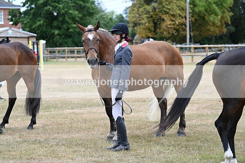 WJ7_9197 - Class 4a Prettiest Mare 14.2hh and over
