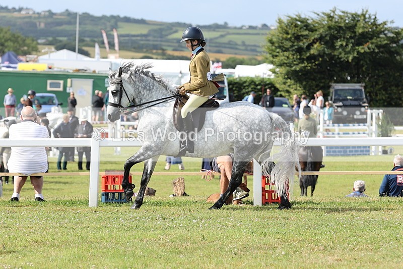 JPP_0764 - Class 16: Cornish Combination Young Rider