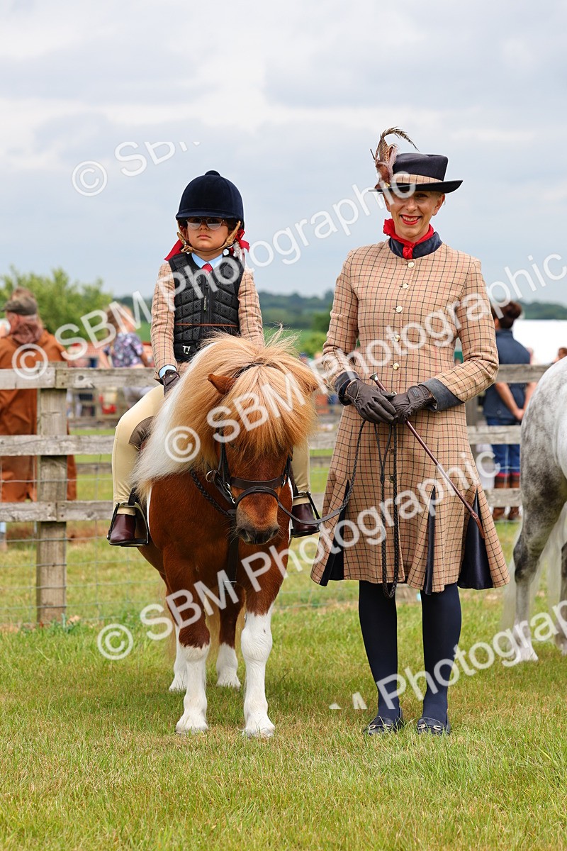 SBM_08311 - Class 42-43 - LIHS BSPS Heritage Working Sports Pony