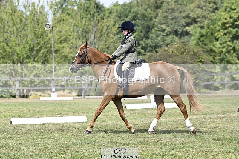 250822A-121213-22622 - DR 11.00 to 12.00