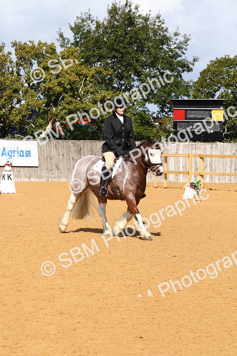 SBM_18373 - D31 - Grand Tour PYO Open .