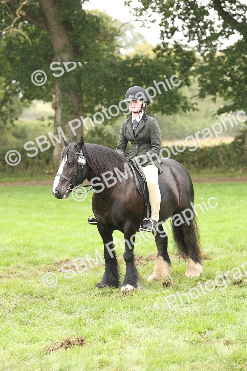 SBM_72769 - S70 - Traditional Cob Ridden