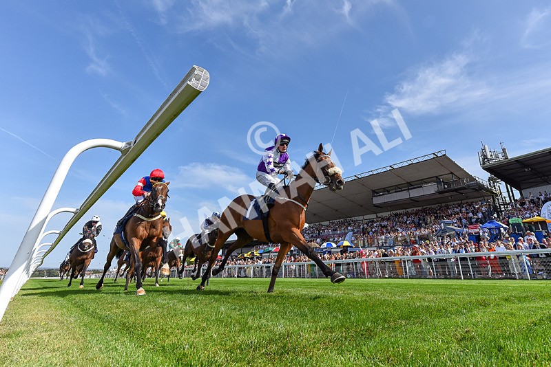 130825-Race 4-Dumfries-2 - Race 4