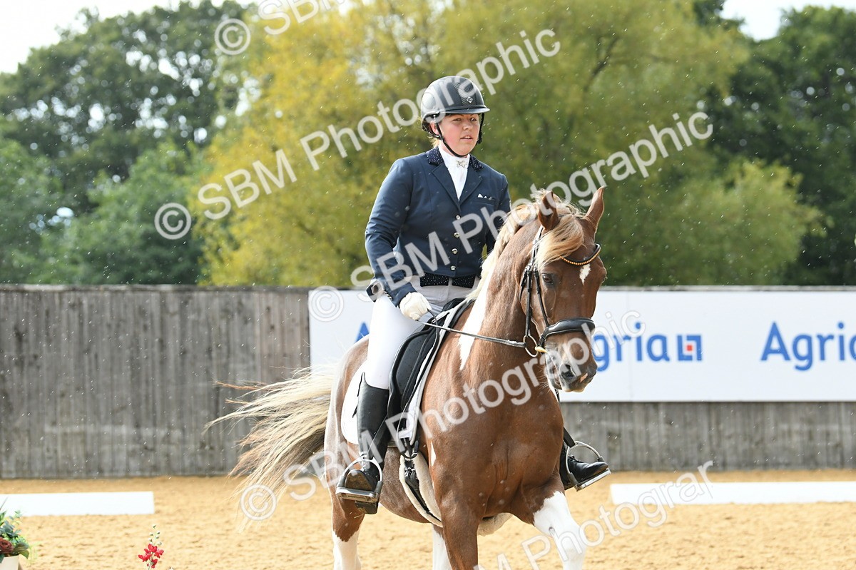 SBM_11079 - D28 Elementary Taster Elementary 42