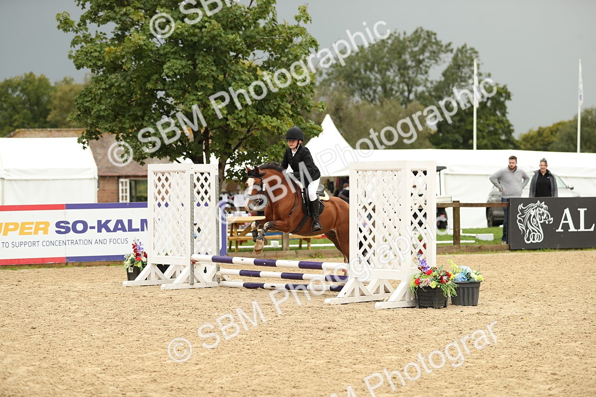 SBM_34246 - J60 Clear Round 50cm