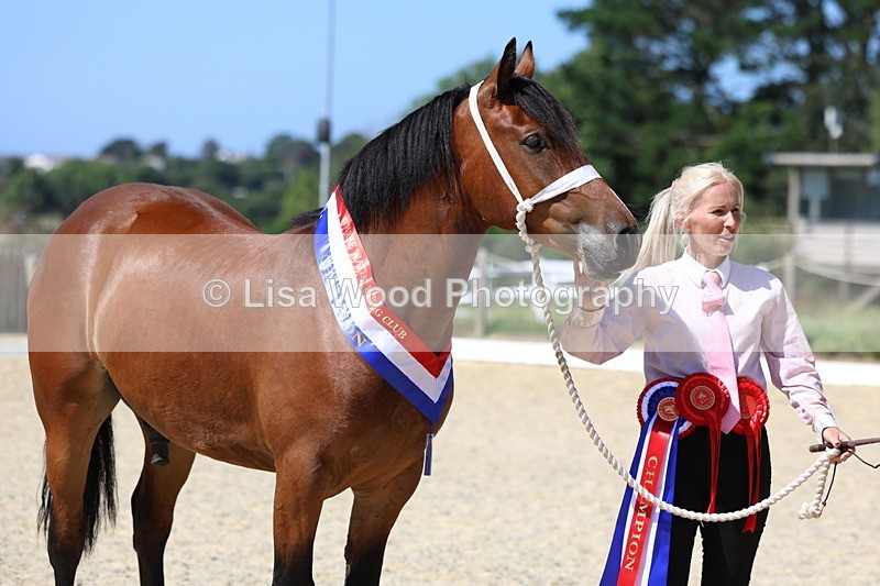 3E7A9947 - In Hand Championship