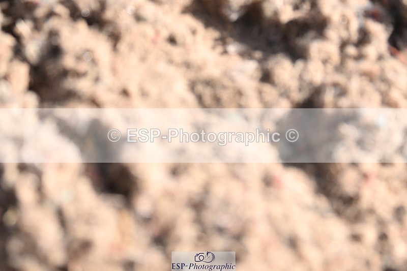 240622A-083819-06613 - Cls 25 BD Music Prelim