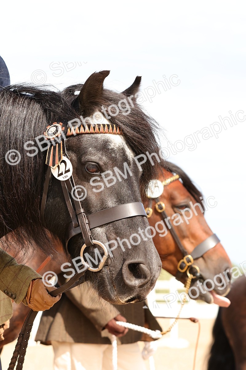 SBM_18038 - Class 707 - IH Groom - Helpers Glass